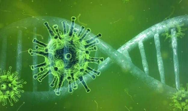 موردی از کرونای انگلیسی در هرمزگان نداشته‌ایم