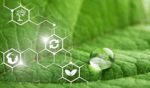 چه کسی پژوهشگر نمونه هرمزگان شد؟