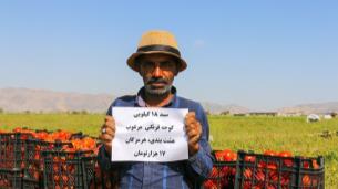 اعتراض کشاورزان به گوجه کیلویی 1000 تومان