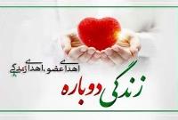   بانوی جیرفتی با اهدا عضو به ۳ نفر جان دوباره بخشید