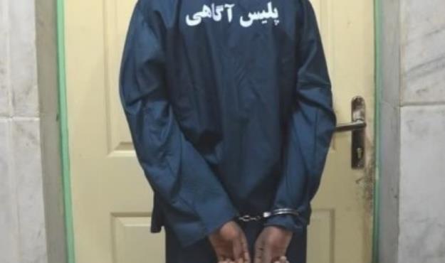  دستگیری سارق مسلح طلا و جواهرات یک منزل در کهنوج 