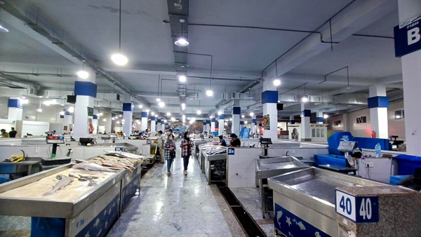 شهرداری ۳۰ کولر گازی برای بازار ماهی فروشان خرید