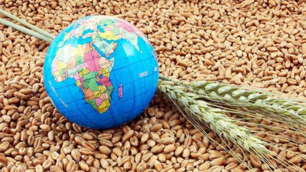 غذا،سنگر خاموش امنیت ملی