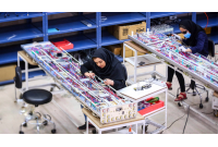 ۲۰ درصد بیمه شدگان تأمین اجتماعی هرمزگان بانوان هستند