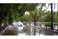 بارش ۲۴ میلیمتر باران در جزیره لاوان هرمزگان