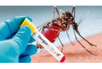 شمار مبتلایان تب دنگی در هرمزگان به ۲۵۵ نفر رسید