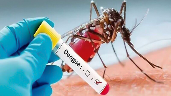 شمار مبتلایان تب دنگی در هرمزگان به ۲۵۵ نفر رسید