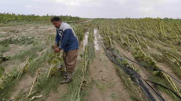 خسارت سیل در هرمزگان به ۱۲۰۰ هکتار از اراضی باغی و زراعی