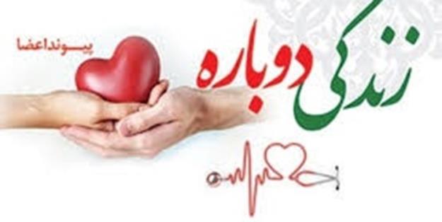 اهدای عضو نوجوان 16 ساله در هرمزگان جان 4 نفر را نجات داد