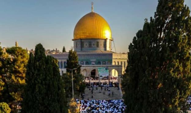 علی داوودی برای حماسه‌ «فلسطین» شعر سرود