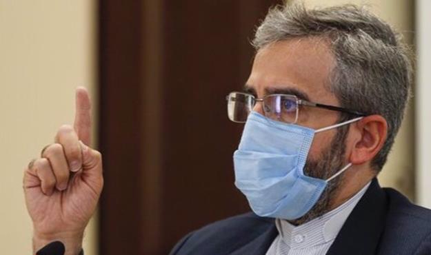 باقری کنی: آمریکا شورای امنیت را به «قربانگاه حقوق بشر» تبدیل کرده است