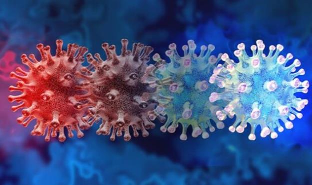 خطر اوج‌گیری اُمیکرون در هرمزگان