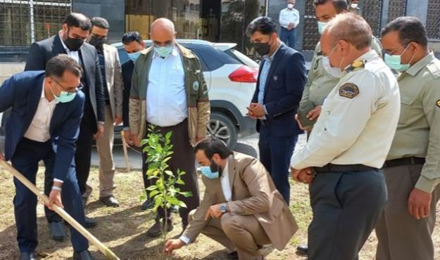 پیشتازی هرمزگان در اجرای طرح کاداستر اراضی ملی در سطح کشور