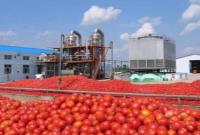 قطب تولید گوجه‌فرنگی خارج فصل ایران صاحب کارخانه رب می‌شود