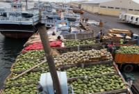 دلیل ممنوعیت واردات محصولات کشاورزی ایران از سوی عمان چیست؟
