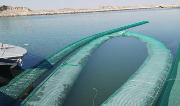 کشف ۸۰ هزار لیتر گازوییل قاچاق در بندرعباس