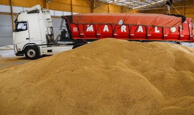 دلیل رسوب 66 هزار تن گندم در بندر شهید رجایی چه بود؟