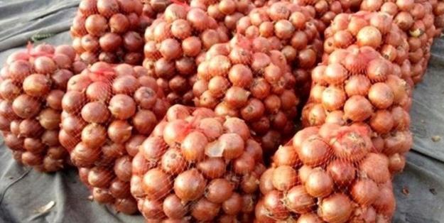 کشف محموله پیاز قاچاق در بندر شهید باهنر